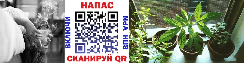 Канабис Bruce Banner  купить  сайты  Реутов 